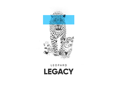 Leopard Legacy animal black and white blue brand branding clean design legacy leopard light minimal minimalistic monochrome simple typography white