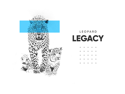 Leopard Legacy animal black and white blue brand branding clean design leopard light minimal minimalistic simple typography white