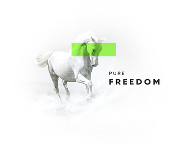 Pure Freedom clean design freedom green horse minimal monochrome simple white