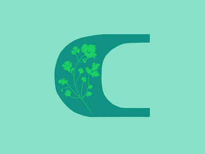 #36daysoftype C 36daysoftype 36daysoftype c cilantro design drawing letter letter c sketch type type art typogaphy