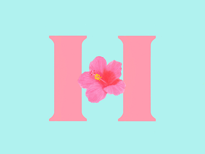 Hibiscus. #36daysoftype