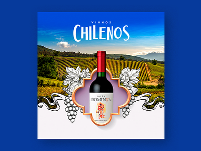 Vinhos Chilenos