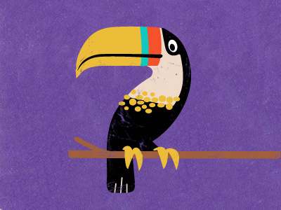 Toucan animal bird illustration purple toucan