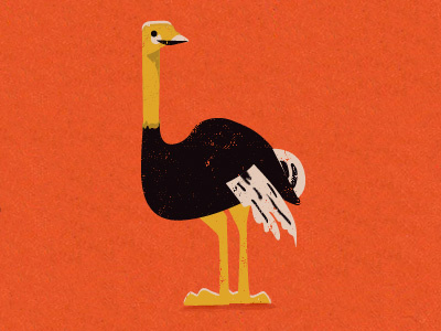 Ostrich animal bird illustration orange ostrich red
