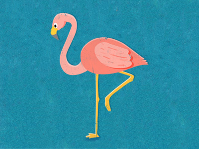 Flamingo animal bird blue cute flamingo illustration pink