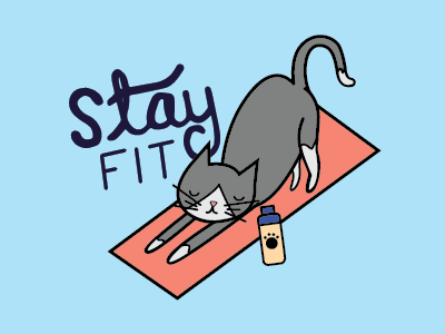 Cat Yoga cat fit gym illustration kitten lettering yoga