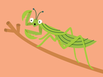 Mantis Buddy bug cute happy bug illustration insect mantis praying mantis
