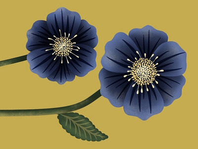 Pansy-ish flowers illustration procreate