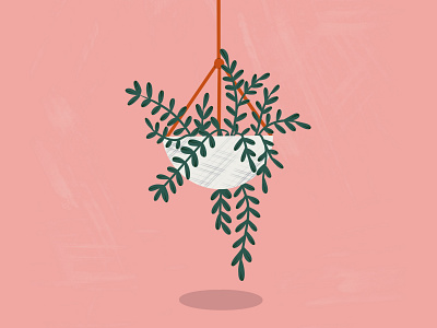 Hanging Plant illustration plant procreate