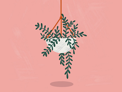 Hanging Plant