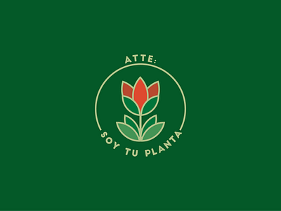 Soy Tu Planta brand identity branding design green green logo logo logodesign logoplants logotype nature logo plants