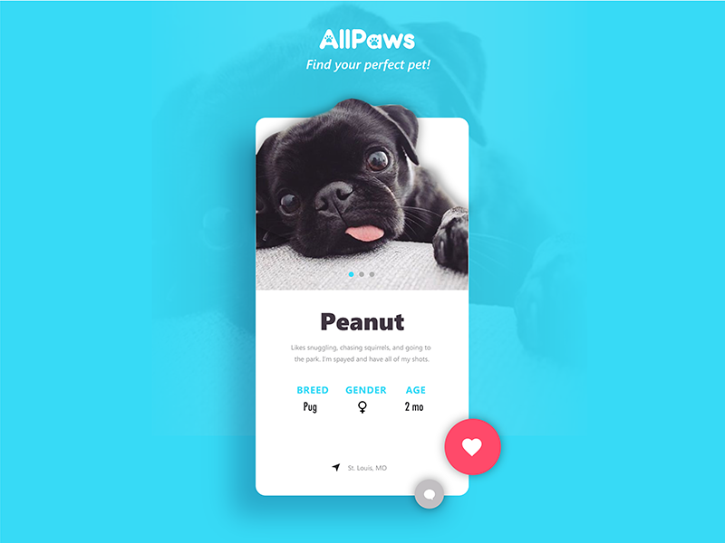 Daily Ui Challenge #006 - User Profile all paws daily ui daily user profile swipe challenge card 006 app ui dog profile