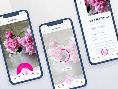 Automated Hack #16 - "Identiflower" Plant Identifier app automation card challenge daily daily ui flower flower app gradient mobile plant ui ux