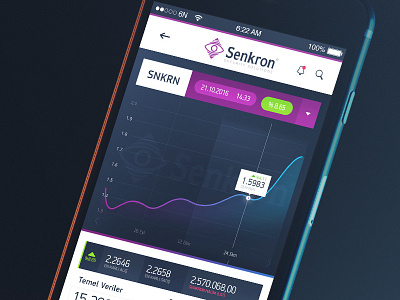 Shareholder Structure Mobile UI design