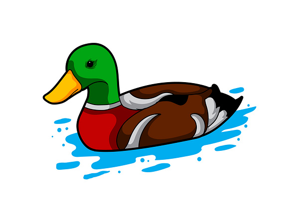 Swimming Duck by The Art of Ang Bay on Dribbble