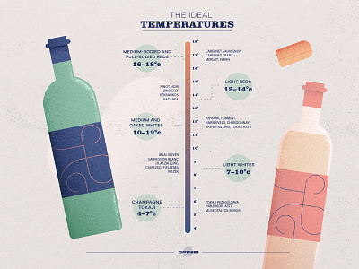 Wine ideal temperatures art branding champagne cork design drink infographic photoshop summer temperature vector wine wine glass wine logo winery