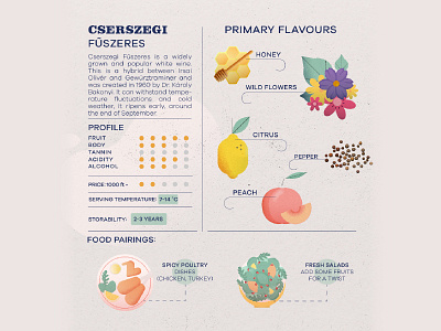 Wine Infographic - Cserszegi Fűszeres