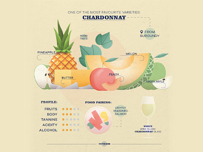 Chardonnay - wine infographic alcohol art body burgundy chardonnay design fruit glass illustration melon photoshop pineapple pineapples tannin vector