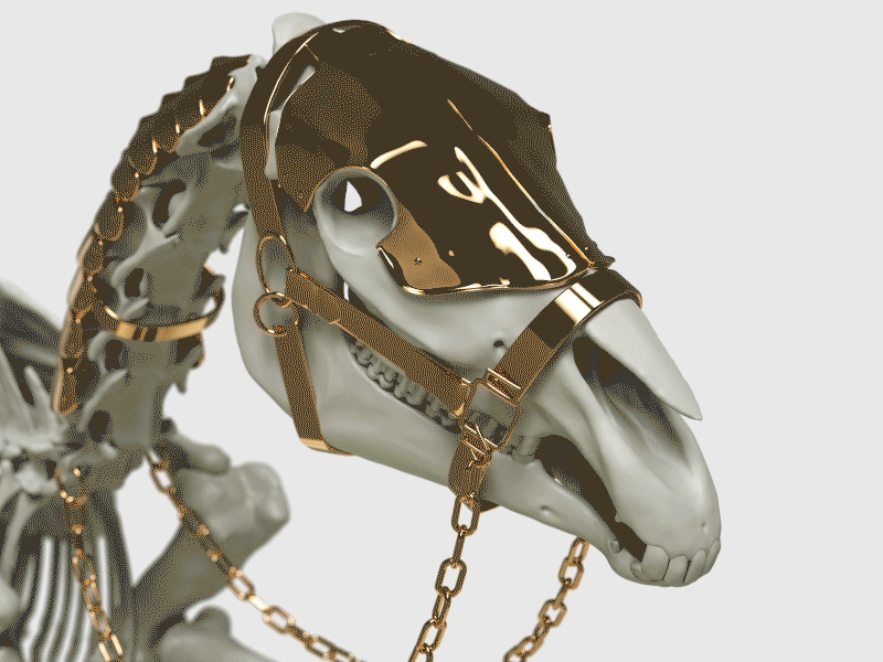 White riders 3d 3dsmax art behance c4d chain cinema4d gold horse octane render skull