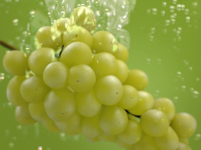 Apenta Grape Tv Spot 3d 3dsmax after effect animation apenta art branding bubble design drink grape graphic design maya photoshop realflow render simulation studio sweet water