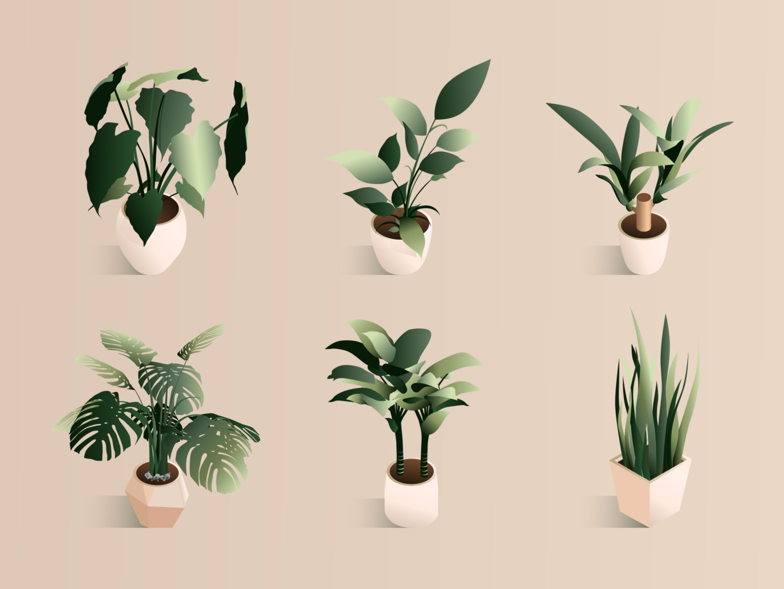 Page plant. 3д комнатные растения вектор. Isometric Plant. Isometric Pot Plant. Home Plants Минимализм рисунки.