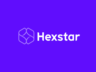 Hexstar brand branding creative design dribbble gradient hexagon hexagon logo logo logo design premium purple shadow star typography