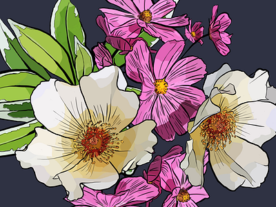 Wild flower illustration art drawing fine art floral flowers illustration