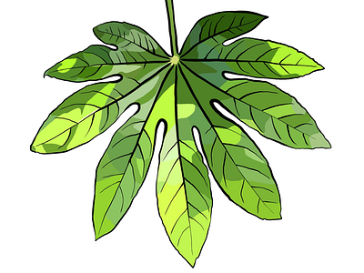 Leaf illustration