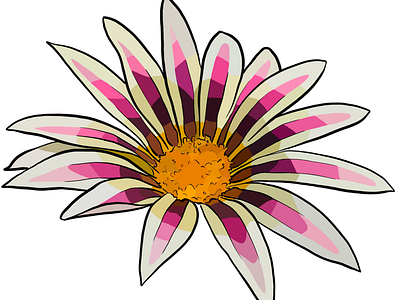 Flower illustration