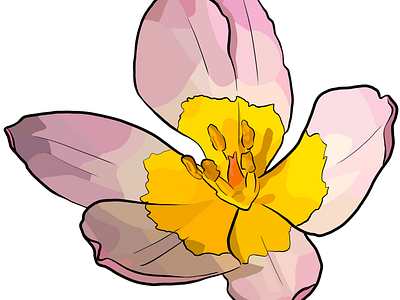 Flower illustration