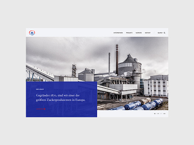 Corporate website concept