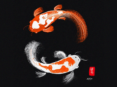 Koi Fish Digital Painting apple pencil digital fish ipad koi linea painting