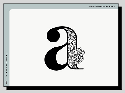 A is for Alveoli 36daysoftype 36daysoftype07 anatomy anatomyalphabet designer illustration illustrator lettering typography typographydesign