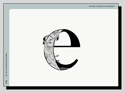 An Anatomy Alphabet: E is for esophageal plexus. 36 days of type 36daysoftype anatomy anatomy alphabet design designer illustration illustrator lettering type typography typography design