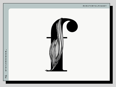 An Anatomy Alphabet: F is for flexor pollicis longus. 36 days of type 36daysoftype anatomy anatomy alphabet design designer illustration illustrator lettering type typography typography design