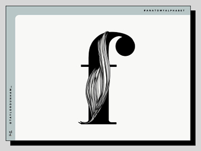 An Anatomy Alphabet: F is for flexor pollicis longus. 36 days of type 36daysoftype anatomy anatomy alphabet design designer illustration illustrator lettering type typography typography design