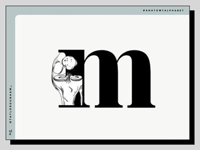 An anatomy alphabet: M is for meniscus. 36dayoftype 36daysoftype07 anatomy illustration illustrator lettering lettering art vector illustration