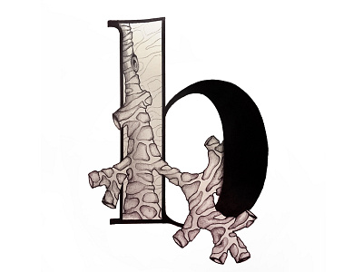 B Is For Bronchus anatomyalphabet illustration