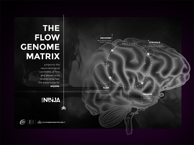 Flow Genome Matrix Poster branding design poster