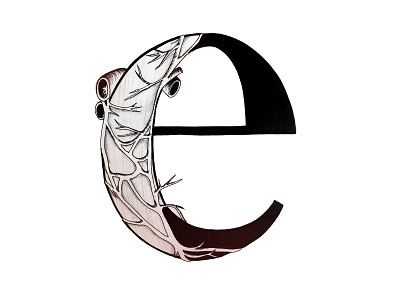 E Is For Esophogeal Plexus anatomyalphabet hand lettering art illustration lettering typography