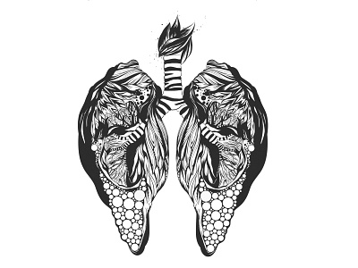 Anatomy Lungs adobe draw adobe illustrator anatomy coloring book coloring page illustration line art line drawing line illustration