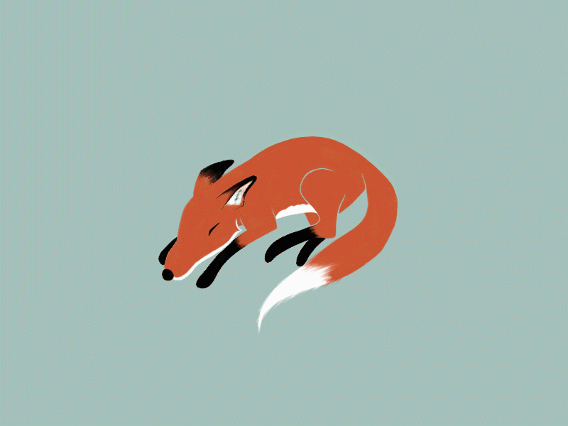 zZz 2d animal animation design fox foxy frame by frame illustration nature sleep sleeping snooze wildlife zzz