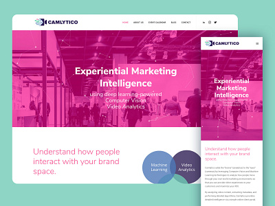 Camlytico Website branding responsive design responsive website design website design wordpress
