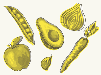 Fruit & Veg illustrations