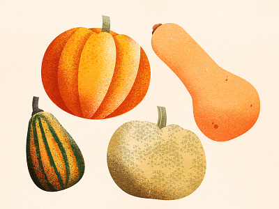 Pumpkin, Gourds and Winter Squash autumn drawing food gourd gourds grain health illustration illustrations pumpkin squash texture vegetables winter