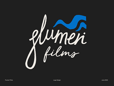 Flumeri Films Logo branding design film film logo hand drawn hand lettering lettering logo logo design movie production rustic type typography