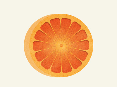 Orange Slice fruit health illustration medicine orange orange slice plant vector vitamin c vitamins