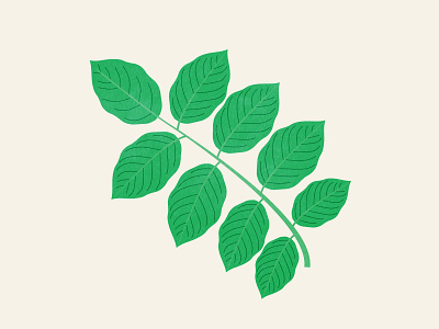 Leaves 01 flower green illustration leaf leaves nature plant