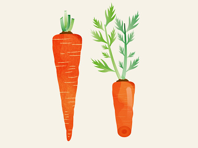 Carrot carrot food health illustration orange snack vitamin c vitamins