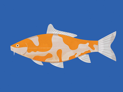 Koi carp goldfish illustration koi koi fish koibot pond sea water